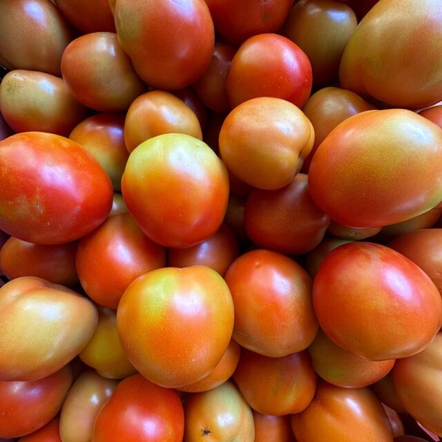 Tomate Chonto orgánico — VitaOrgánicos